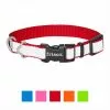 Frisco Solid Polyester Reflective Dog Collar -Pet Food Gear Shop 212775 MAIN. SY630 V1619125939