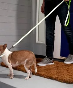 Frisco Solid Polyester Reflective Dog Leash 10 Frisco Solid Polyester Reflective Dog Leash -Pet Food Gear Shop 212812 PT4. SY630 V1581114493