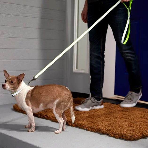 Frisco Solid Polyester Reflective Dog Leash 6 Frisco Solid Polyester Reflective Dog Leash - Image 4