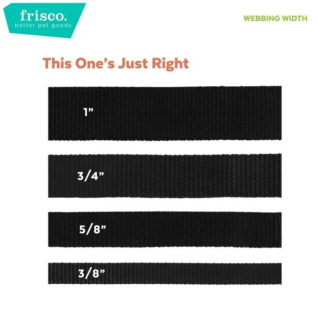 Frisco Solid Polyester Reflective Dog Leash 7 Frisco Solid Polyester Reflective Dog Leash - Image 5