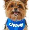 Frisco Chewy Dog & Cat Bandana