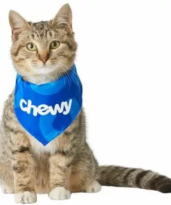 Frisco Chewy Dog & Cat Bandana -Pet Food Gear Shop 213165 PT3. SY630 V1582062851