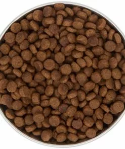 Frisco Heavy Duty Non-Skid Saucer Cat Bowl, Red Paw -Pet Food Gear Shop 213423 PT4. SY630 V1599240402