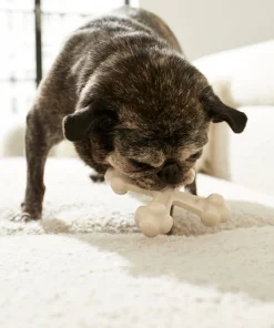 Frisco Chicken Flavor Tough Nylon Dog Chew Toy -Pet Food Gear Shop 213432 PT2. SY630 V1581715692