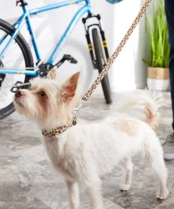 Frisco Leopard Print Polyester Dog Leash -Pet Food Gear Shop 213759 PT4. SY630 V1628029580