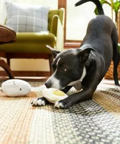Frisco Plush Squeaking 2-in-1 Tearable Egg & Yolk Dog Toy -Pet Food Gear Shop 213789 PT8. SY630 V1600488482