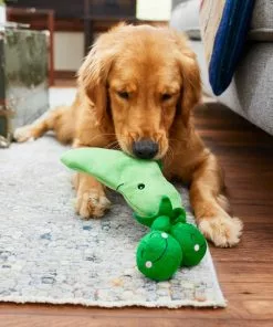 Frisco Plush Squeaking 2-in-1 Tearable Peapod & Peas Dog Toy -Pet Food Gear Shop 213791 PT8. SY630 V1600488484