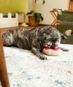 Frisco Strawberry Frosted Donut Dense Foam Squeaky Dog Toy -Pet Food Gear Shop 213804 PT8. SY630 V1600488492