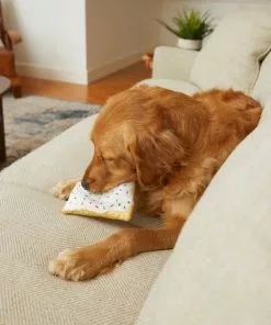 Frisco Frosted Pastry Plush Dog Toy -Pet Food Gear Shop 213812 PT8. SY630 V1600488502