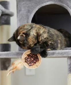 Frisco Bag-of-Coffee Beans Cat Toy with Catnip -Pet Food Gear Shop 213898 PT8. SY630 V1600488454