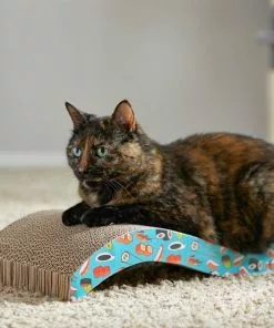 Frisco Sushi Delight Wave Cat Scratcher -Pet Food Gear Shop 213908 PT8. SY630 V1600488470
