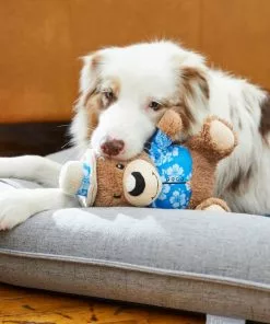 Frisco Summer Fun Plush Bear Squeaky Dog Toy -Pet Food Gear Shop 214659 PT6. SY630 V1597596384
