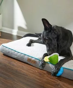 Frisco Summer Fun Plush & Rope Margarita Dog Toy 5 Frisco Summer Fun Plush & Rope Margarita Dog Toy -Pet Food Gear Shop 214679 PT6. SY630 V1597596393