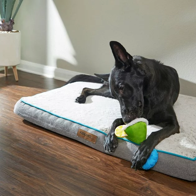 Frisco Summer Fun Plush & Rope Margarita Dog Toy 4 Frisco Summer Fun Plush & Rope Margarita Dog Toy - Image 2