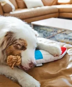 Frisco Summer Fun Plush & Rope Popsicle Dog Toy -Pet Food Gear Shop 214703 PT6. SY630 V1597596505