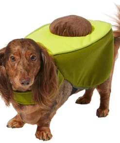 Frisco Avocado Dog & Cat Costume