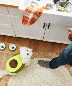 Frisco Avocado Dog & Cat Costume -Pet Food Gear Shop 215427 PT8. SY630 V1599141087