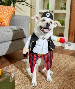 Frisco Front Walking Pirate Dog & Cat Costume -Pet Food Gear Shop 215477 PT8. SY630 V1599141371