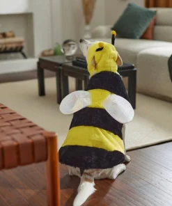 Frisco Bumble Bee Dog & Cat Costume -Pet Food Gear Shop 215489 PT8. SY630 V1624543554