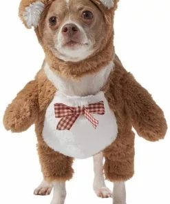 Frisco Front Walking Teddy Bear Dog & Cat Costume -Pet Food Gear Shop 215500 PT4. SY630 V1625077403