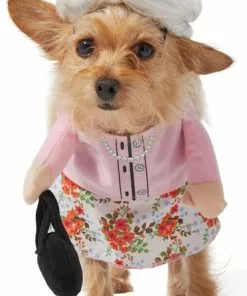 Frisco Front Walking Granny Dog & Cat Costume -Pet Food Gear Shop 215576 PT4. SY630 V1625077401