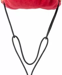 Frisco Zombie Dog & Cat Costume -Pet Food Gear Shop 215621 PT4. SY630 V1594656077