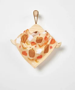 Frisco Whimsical Halloween Dog & Cat Bandana