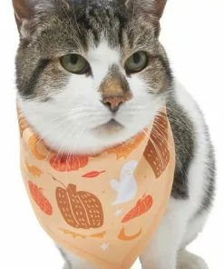 Frisco Whimsical Halloween Dog & Cat Bandana -Pet Food Gear Shop 215651 PT2. SY630 V1637656899