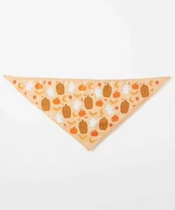 Frisco Whimsical Halloween Dog & Cat Bandana -Pet Food Gear Shop 215651 PT3. SY630 V1637725916