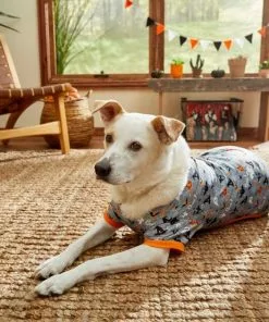 Frisco Halloween Patterned Dog & Cat Jersey PJs -Pet Food Gear Shop 215656 PT8. SY630 V1599225410