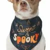 Frisco Sweet & Spooky Dog & Cat Bandana