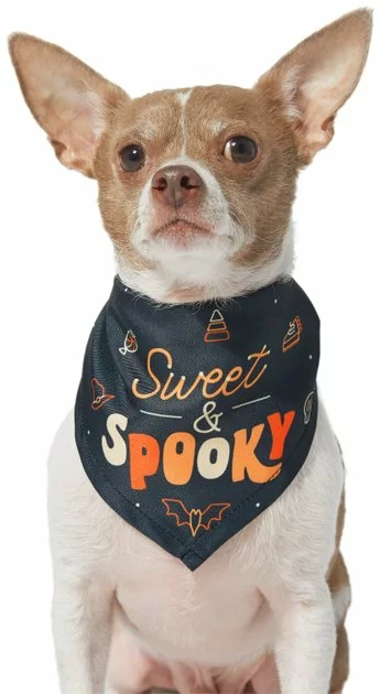 Frisco Sweet & Spooky Dog & Cat Bandana 3 Frisco Sweet & Spooky Dog & Cat Bandana