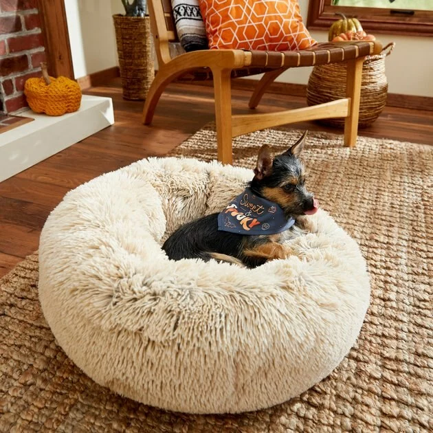 Frisco Sweet & Spooky Dog & Cat Bandana 7 Frisco Sweet & Spooky Dog & Cat Bandana - Image 5