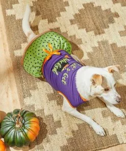 Frisco Let's Get Wicked Dog & Cat Dress -Pet Food Gear Shop 215769 PT5. SY630 V1633068120