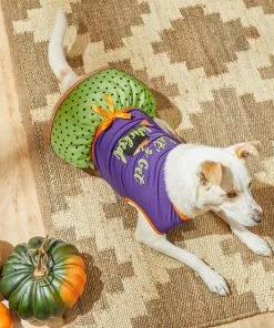 Frisco Let's Get Wicked Dog & Cat Dress -Pet Food Gear Shop 215769 PT8. SY630 V1599225360