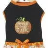 Frisco Pumpkin Patch Cutie Dog & Cat Dress -Pet Food Gear Shop 215783 MAIN. SY630 V1632429381