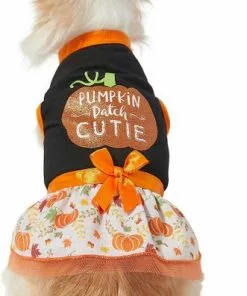 Frisco Pumpkin Patch Cutie Dog & Cat Dress -Pet Food Gear Shop 215783 PT3. SY630 V1632428193