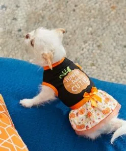 Frisco Pumpkin Patch Cutie Dog & Cat Dress -Pet Food Gear Shop 215783 PT8. SY630 V1599001006