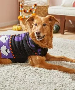 Frisco Spooky Ghost Dog & Cat Sweater -Pet Food Gear Shop 215797 PT8. SY630 V1599226290