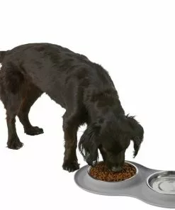 Frisco Double Stainless Steel Dog & Cat Bowl with Silicone Mat, Light Gray, 1.75 Cups -Pet Food Gear Shop 215986 PT5. SY630 V1605652436