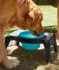 Frisco Elevated Collapsible Travel Bowl, 8 Cups -Pet Food Gear Shop 216013 PT7. SY630 V1605653830