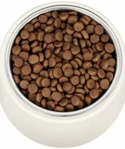 Frisco Slanted Stainless Steel Bowl -Pet Food Gear Shop 216028 PT4. SY630 V1591020437