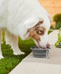 Frisco Silicone Collapsible Travel Bowl with Carabiner, 1.5 Cups -Pet Food Gear Shop 216036 PT7. SY630 V1605656224