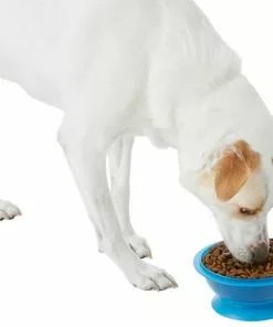 Frisco Plastic Suction Bowl, Blue, 3 Cups -Pet Food Gear Shop 216037 PT6. SY630 V1605662823