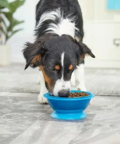 Frisco Plastic Suction Bowl, Blue, 3 Cups -Pet Food Gear Shop 216037 PT7. SY630 V1605666113