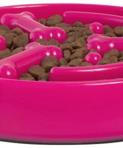 Frisco Bone Shaped Ridges Slow Feed Bowl, 3 Cups -Pet Food Gear Shop 216040 PT3. SY630 V1591020664