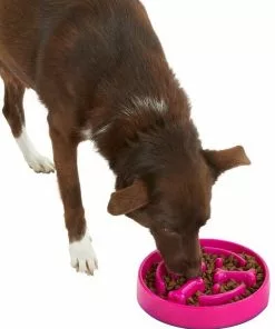 Frisco Bone Shaped Ridges Slow Feed Bowl, 3 Cups -Pet Food Gear Shop 216040 PT6. SY630 V1605656524