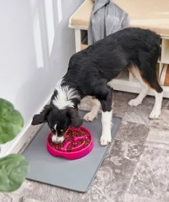 Frisco Bone Shaped Ridges Slow Feed Bowl, 3 Cups -Pet Food Gear Shop 216040 PT7. SY630 V1605655950