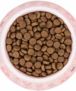 Frisco Pink Cute Cats Melamine Cat Bowl, 1.5 Cup -Pet Food Gear Shop 216043 PT4. SY630 V1591020694