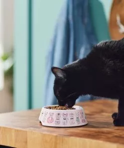 Frisco Pink Cute Cats Melamine Cat Bowl, 1.5 Cup -Pet Food Gear Shop 216043 PT7. SY630 V1633025211